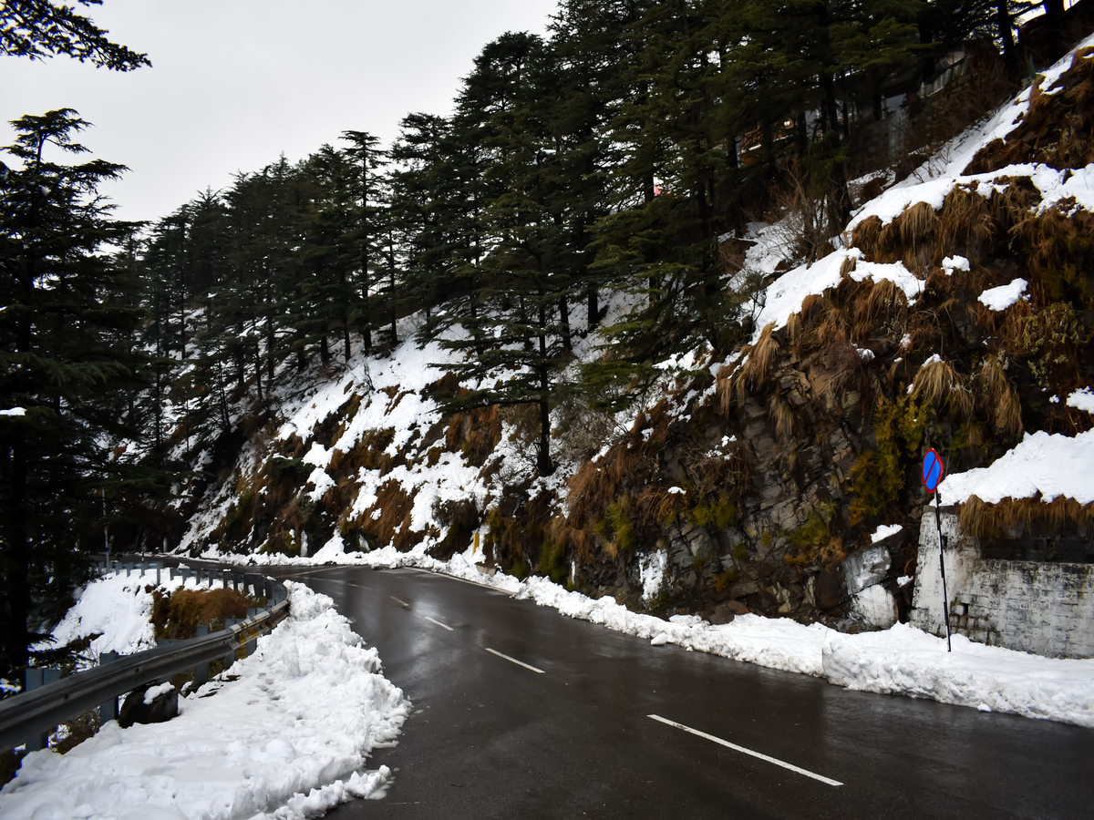 Shimla Tour Packages