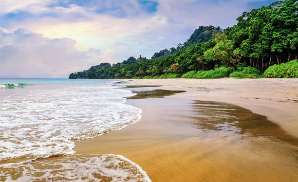 Andaman Honeymoon Packages