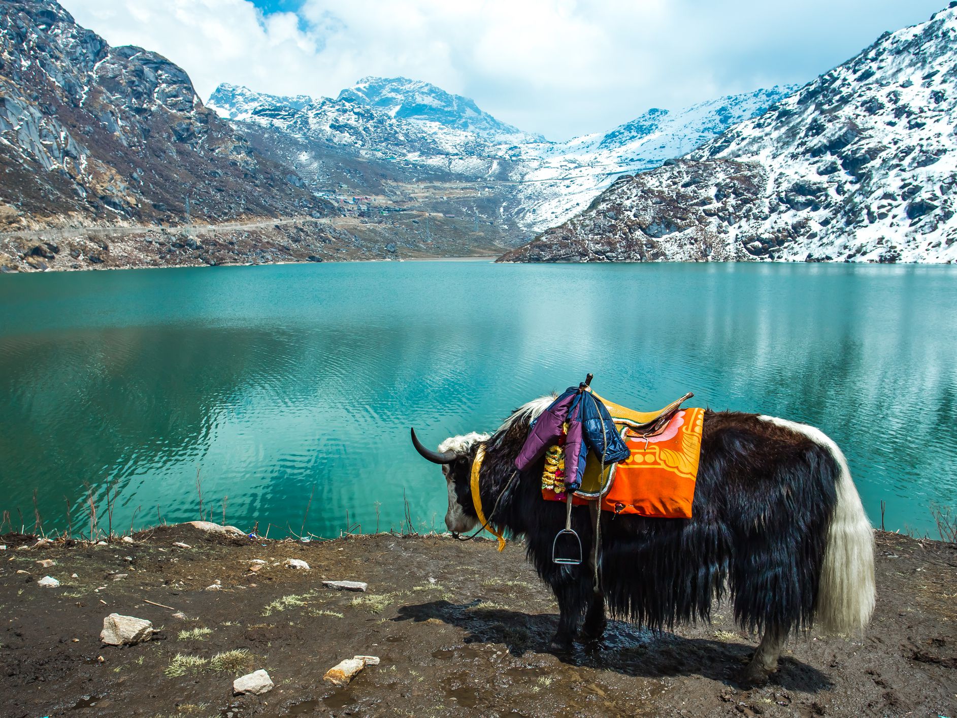 Sikkim Tour Packages