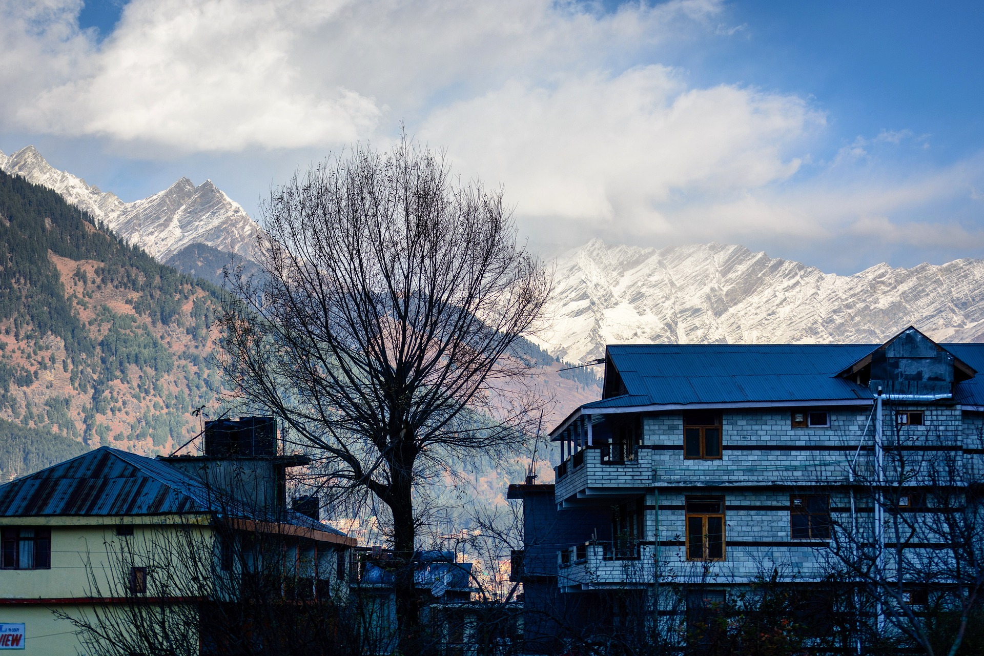 Shimla Honeymoon Packages