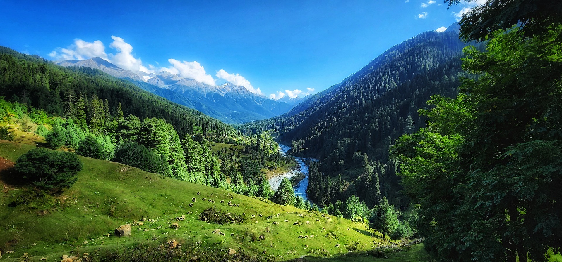 Kashmir Honeymoon Packages