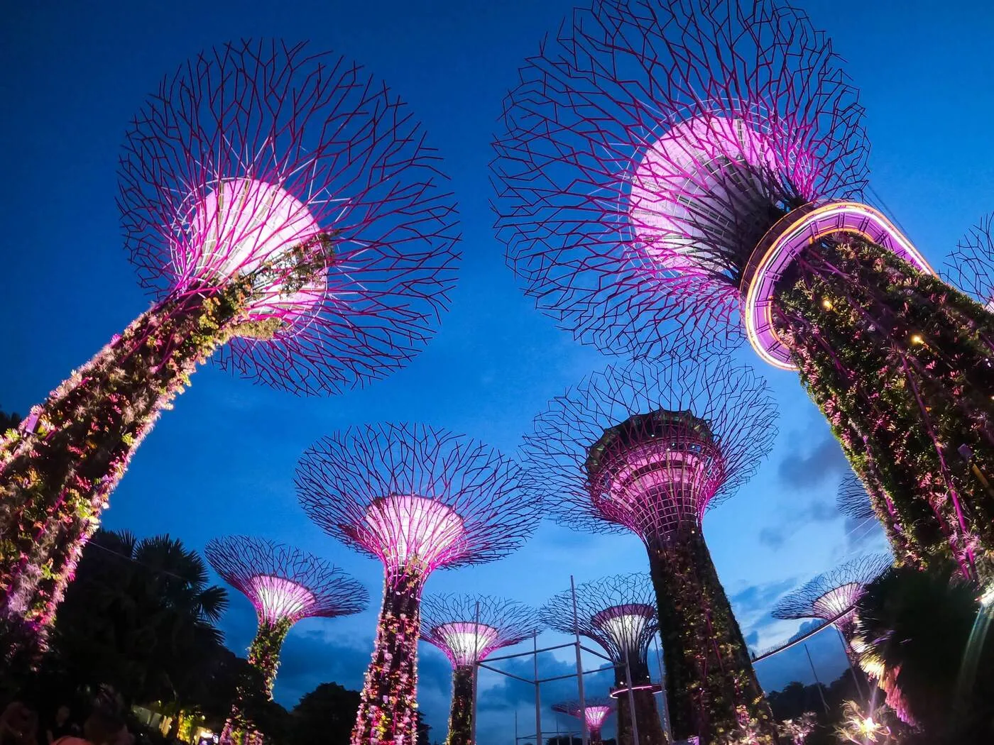 Singapore Tour Packages from Delhi 