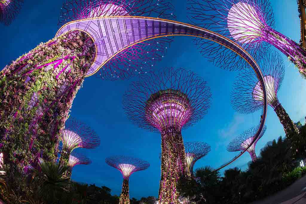 Singapore Tour Packages