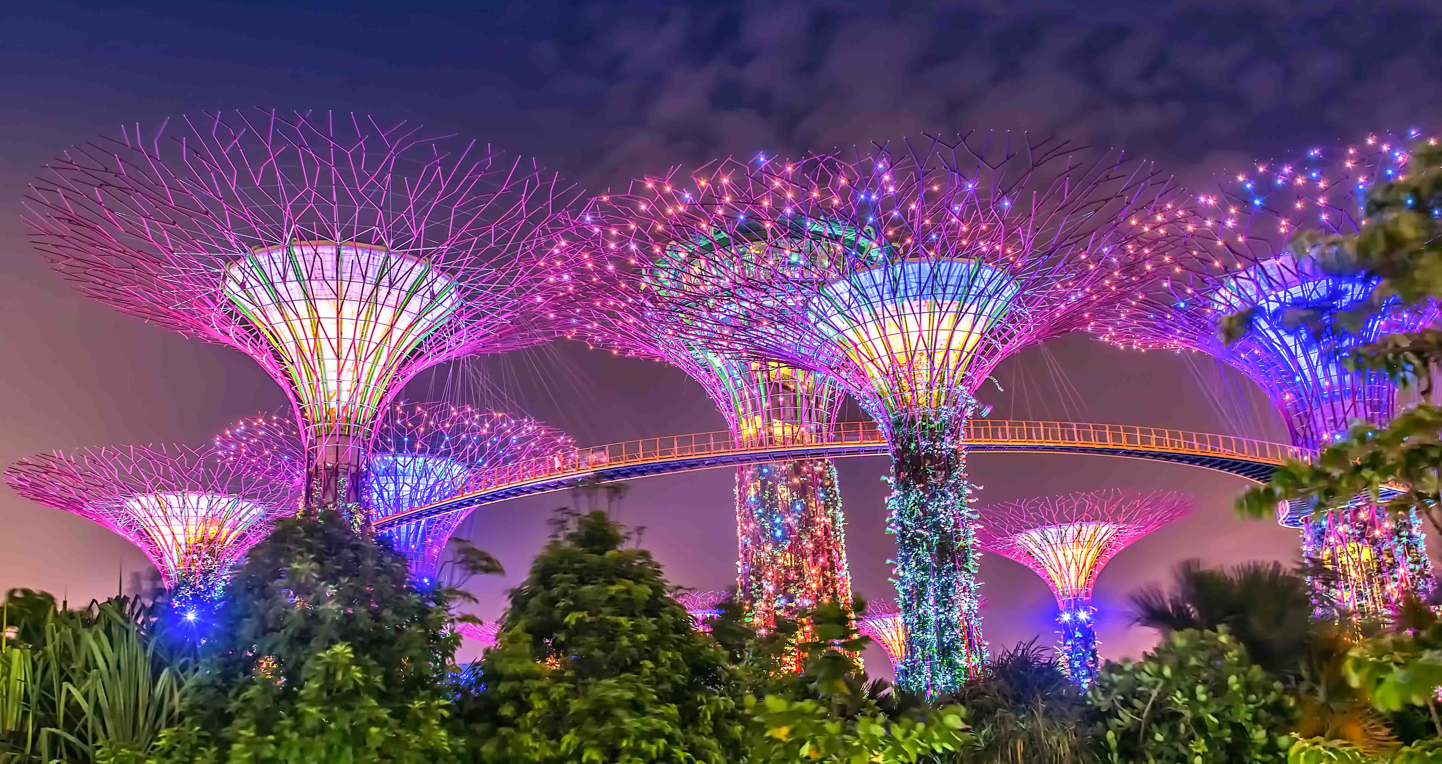 Gardens By the Bay - Singapore Tour Package