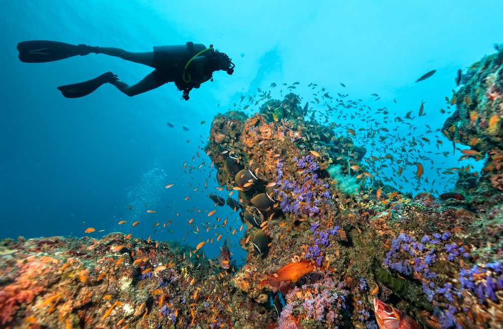 Scuba Diving in Malaysia - Malaysia holiday packages from Bangalore