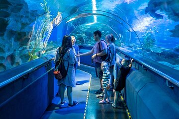 Aquaria KLCC - Malaysia travel packages from Bangalore