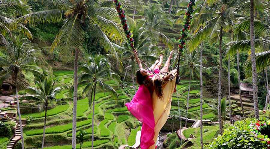 Ubud Tour - Bali Tour Packages