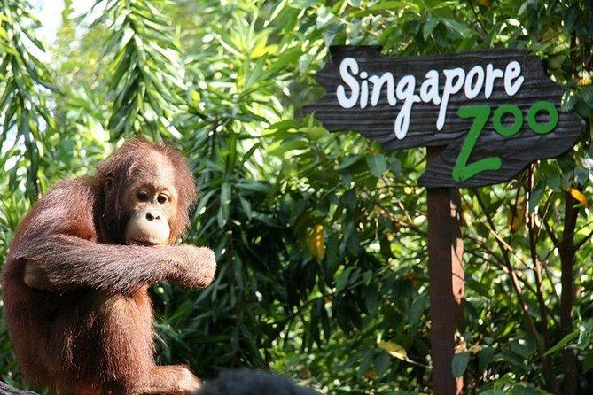 Singapore Zoo - Singapore Trip Package From Mumbai