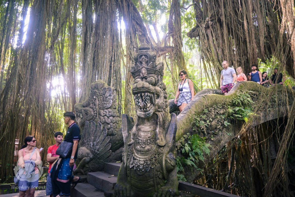 Scared Monkey Forest - Bali Holiday Packages