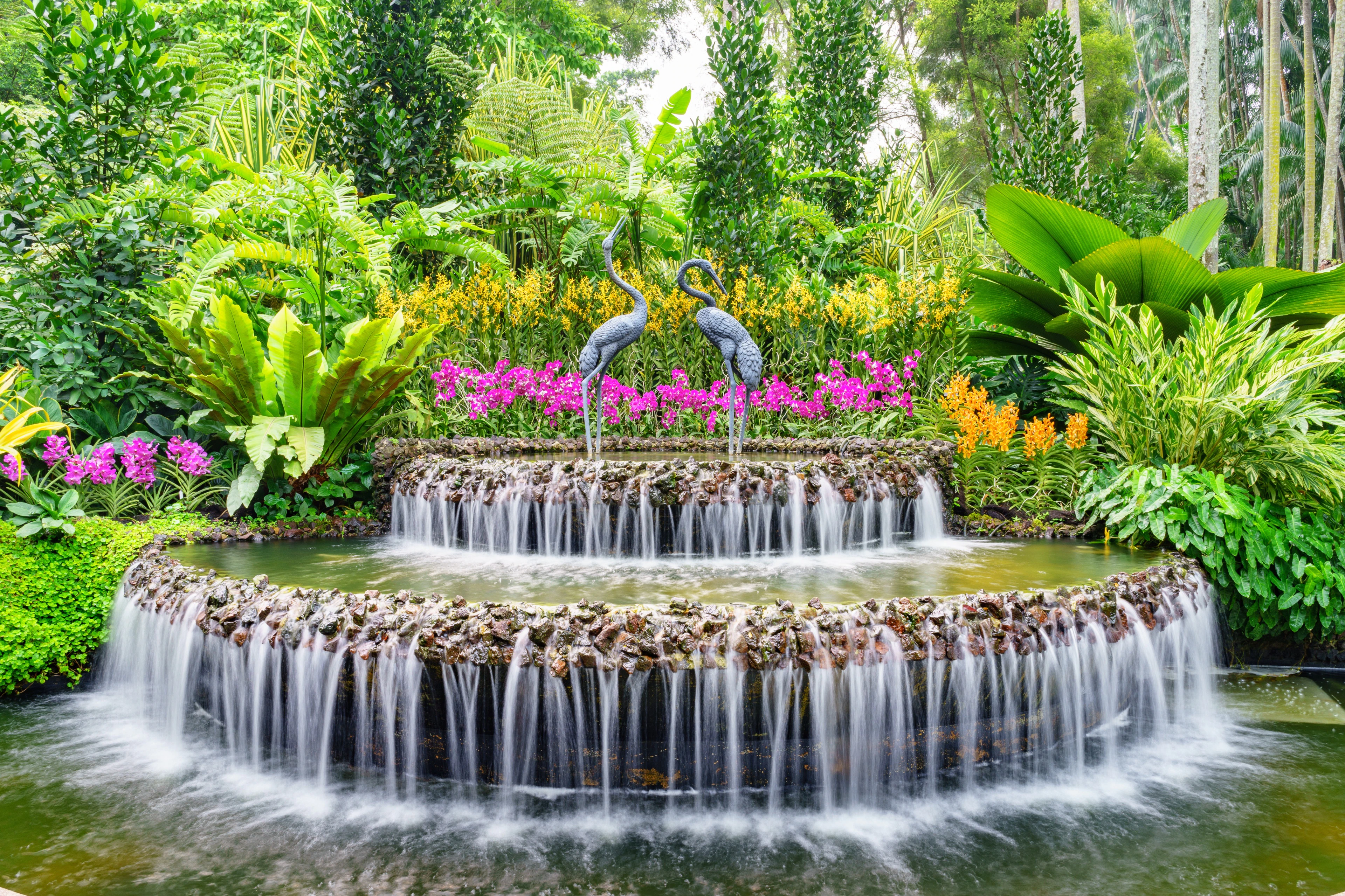 singapore botanic gardens - Singapore Package from Ahmedabad