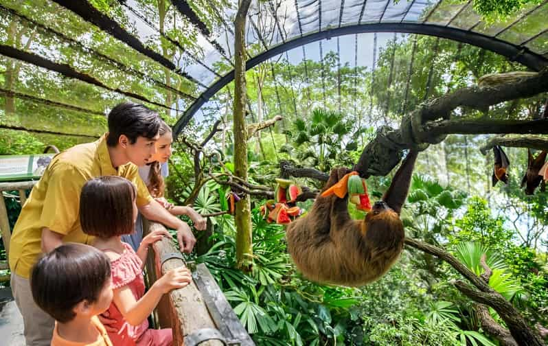 Singapore Zoo - Singapore Travel Package