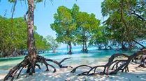 Best Places To Visit In Andaman