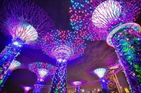 Singapore Trip Package From Mumbai with Gardens By The Bay